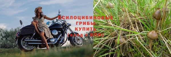 марихуана Алзамай