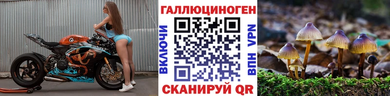 Псилоцибиновые грибы Cubensis Клин