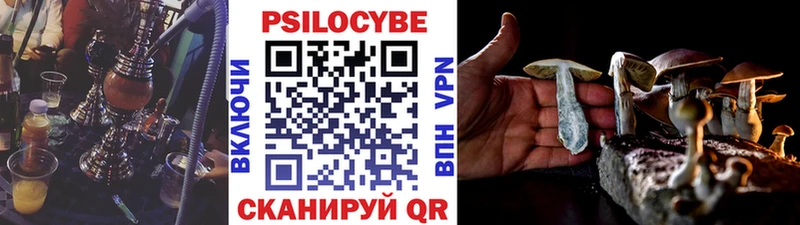 площадка клад  блэк спрут маркетплейс  Клин  Галлюциногенные грибы Psilocybine cubensis 
