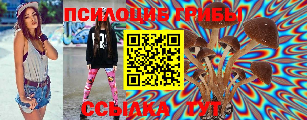 Псилоцибиновые грибы мухоморы Клин