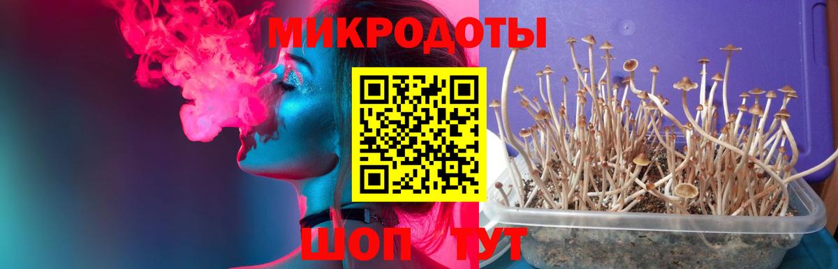 Псилоцибиновые грибы GOLDEN TEACHER  Вход с VPN  Псилоцибиновые грибы Magic Shrooms  Клин 